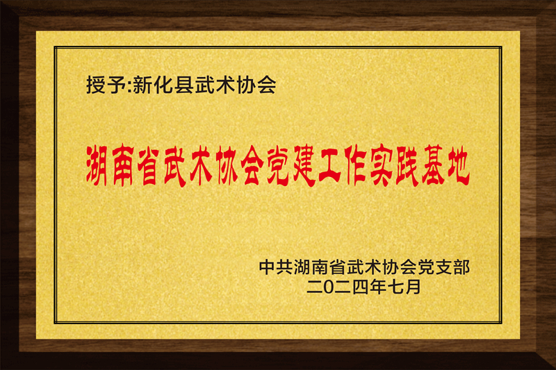 湖南省武术协会党建工作实践基地